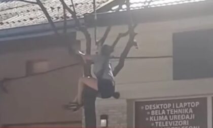 Heroj sa ulice! Djevojka se popela na drvo da spasi mače VIDEO
