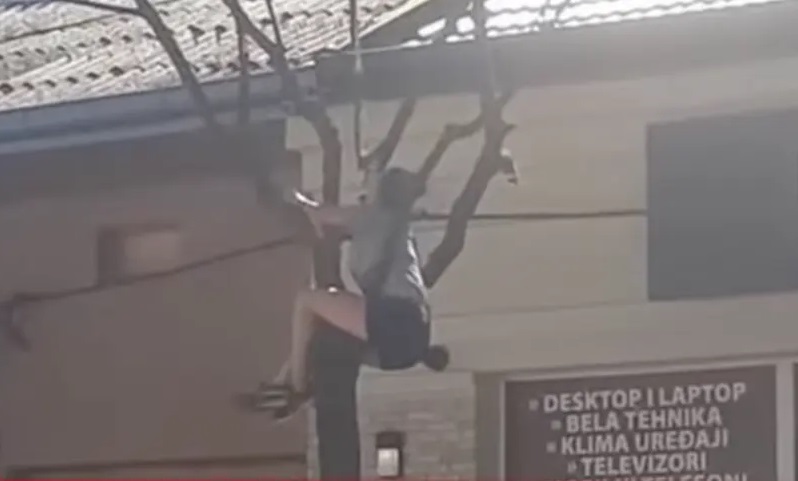 Heroj sa ulice! Djevojka se popela na drvo da spasi mače VIDEO