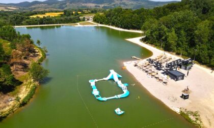 Životinje u potrazi za hranom: Psi lutalice u turističkom centru “Manjača”