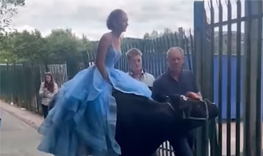 Roditelji ponosni: Maturantkinja na proslavu došla na kravi VIDEO