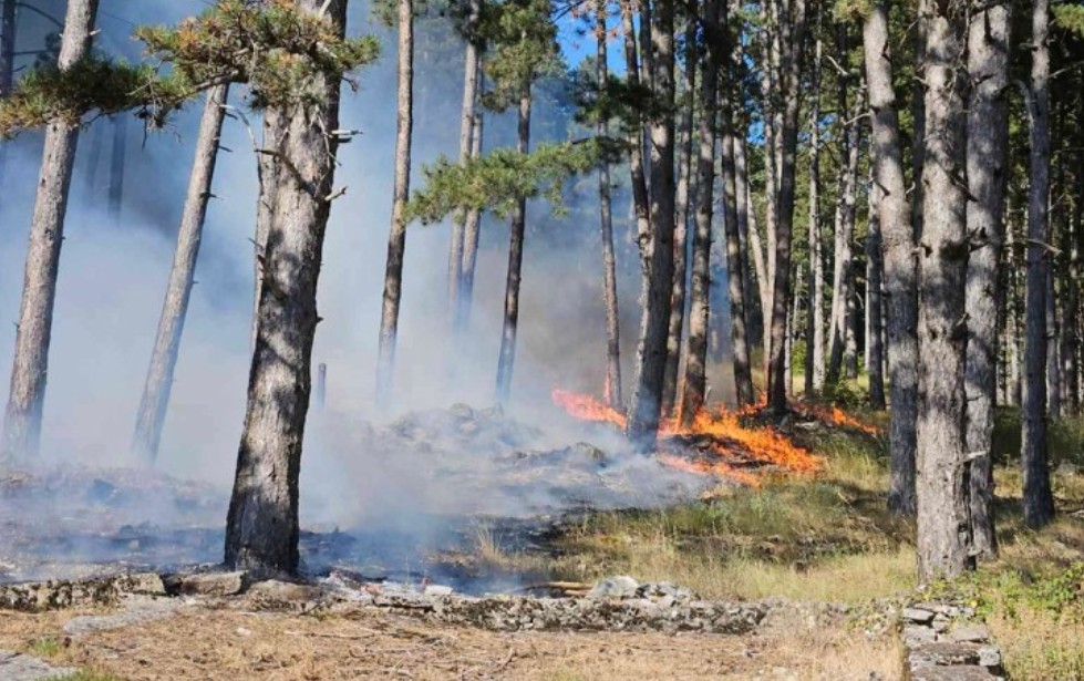 Region u plamenu: Požari zahvatili i Albaniju