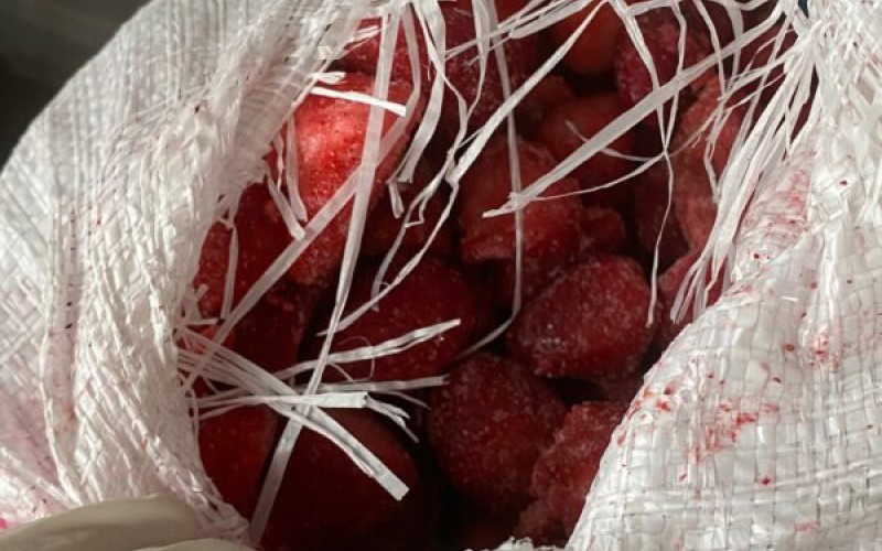 Inspekcija reagovala: Zabranjen uvoz zamrznutih jagoda iz Egipta i sladoleda sa pistacijama iz Turske