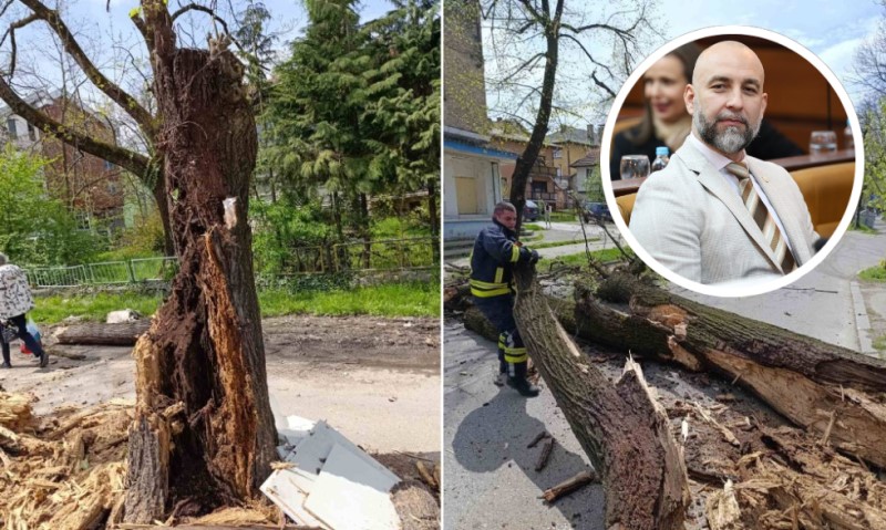 Iz banjalučkog SNSD-a upozoravaju: Do jeseni izvršiti pregled stabala u Gradu