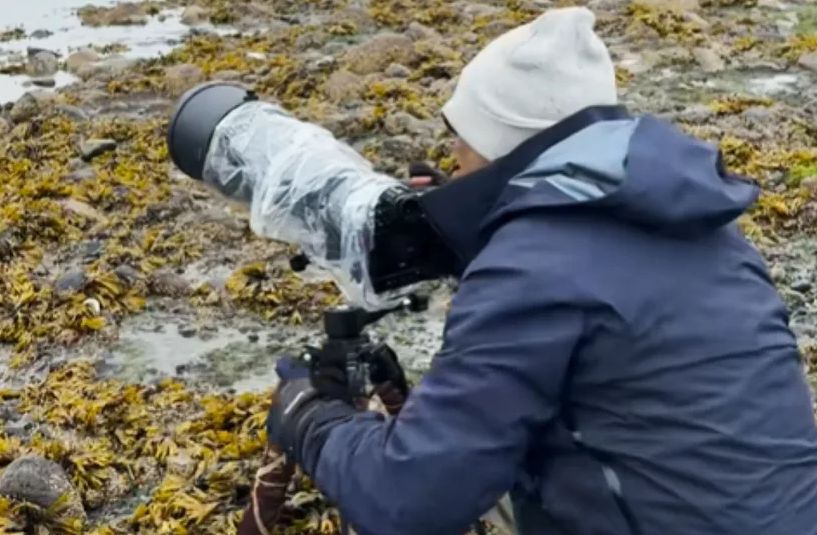 Fotograf gledao zalazak sunca, a onda je shvatio da nije sam VIDEO