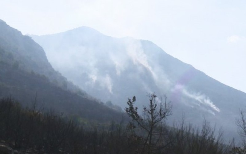 Požari u Hercegovini se ne smiruju: Najteže bilo u selu Mrkonjići VIDEO