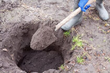 Pratio očevu mapu i našao zakopano blago: Čekalo je 80 godina u zabačenoj šumi