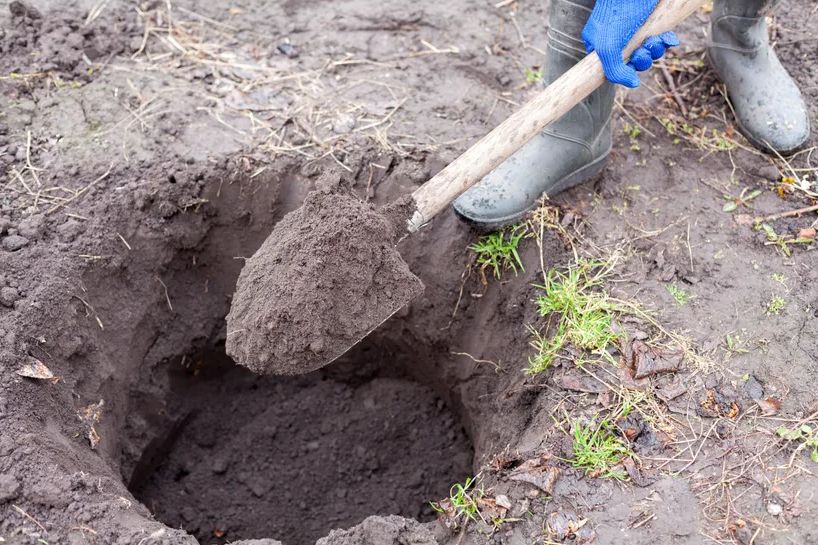 Pratio očevu mapu i našao zakopano blago: Čekalo je 80 godina u zabačenoj šumi