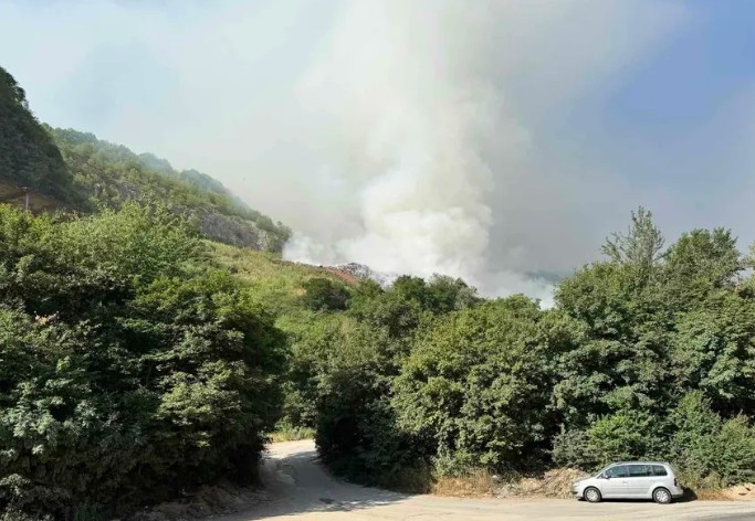 Gori deponija otpada u Krupačkim stijenama: Širi se dim i neprijatan miris
