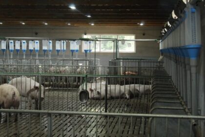 Nakon pet uzaludnih pokušaja: Imovina propale srbačke firme na dobošu za milion KM
