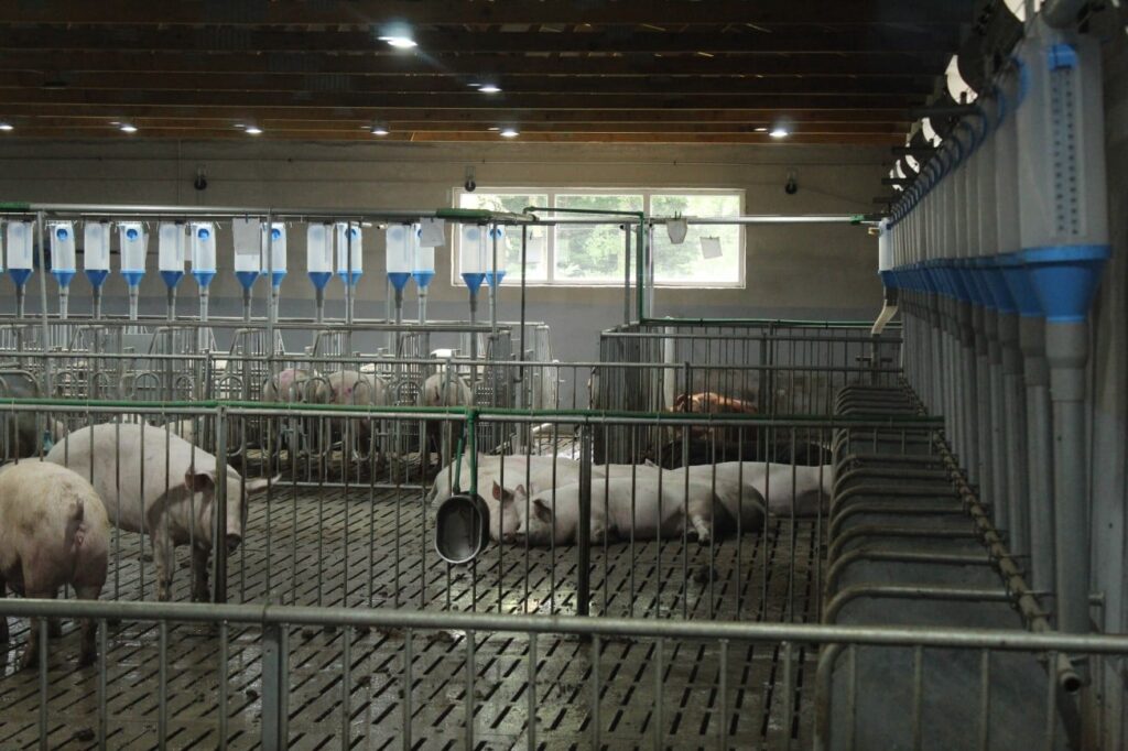 Nakon pet uzaludnih pokušaja: Imovina propale srbačke firme na dobošu za milion KM