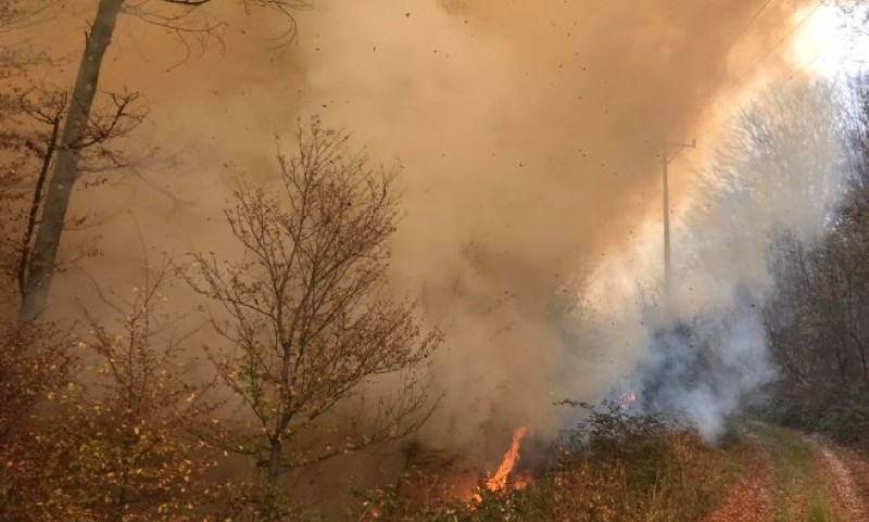 Svi vatrogasci na terenu: U Semberiji u toku 17 požara, vjetar dodatno otežava situaciju