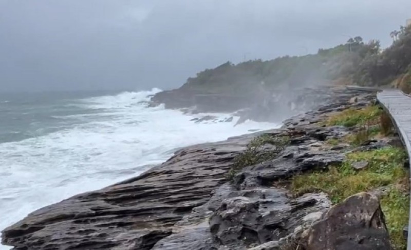 Ciklon bomba pogodila Sidnej: Snažan vjetar čupao drveće, letovi otkazani VIDEO