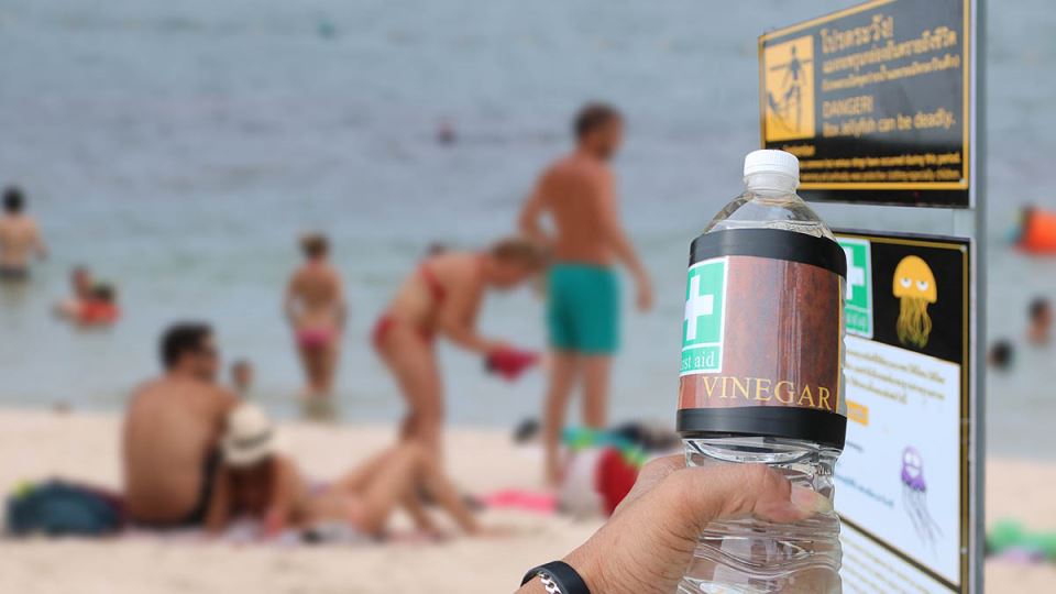 Turisti masovno počeli da ga nose na plažu: Pomama za jabukovim sirćetom u Hrvatskoj