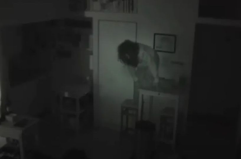 Hrana je misteriozno nestajala iz kuhinje, pa je postavio kameru: Kad je pogledao snimak, potpuno se izbezumio VIDEO