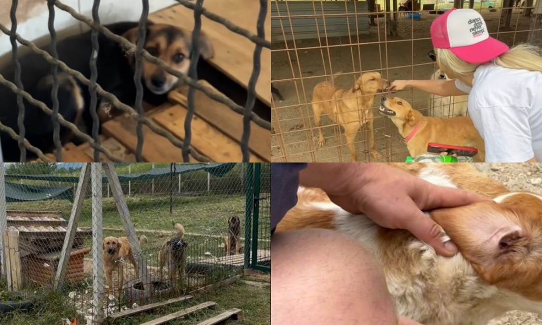 Objavila potresan snimak: Pogledajte šta je Stankica zatekla u azilu na Manjači VIDEO