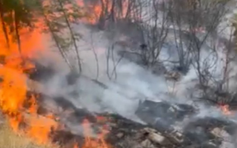 Vatrogasci u borbi sa vatrenom stihijom kod Trebinja: Cilj je odbraniti kuće VIDEO