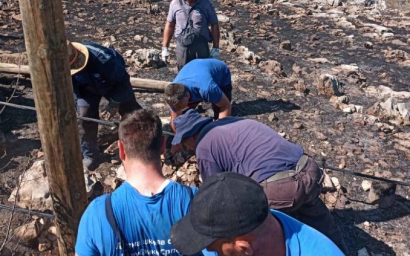 Sela bez struje: U požarima u okolini Trebinja izgorjelo na desetine stubova za električnu energiju