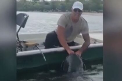 Treći kapitalac: Peđa upecao grdosiju od 70 kilograma