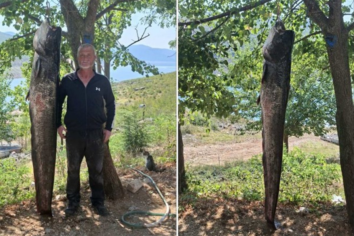 Ranko je pravi znalac: U tri dana upecao dvije grdosije