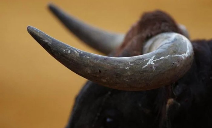 UZNEMIRUJUĆE! Tragedija u “ulici pakla”, bik usmrtio muškarca VIDEO