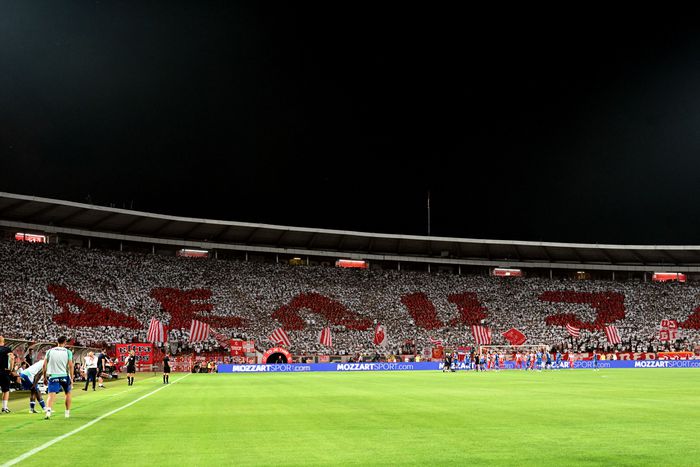 Stadio bio pun kao šibica: Zvezda oborila rekord protiv Leha