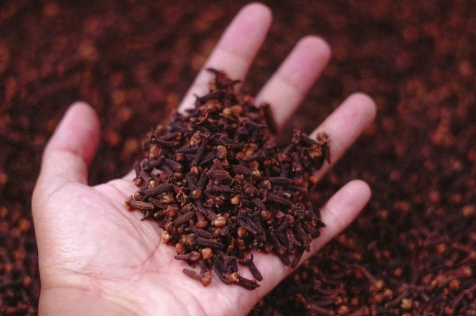 Imate ga u kući: Ovaj začin čuva knjige, garderobu i kuhinju od napasti