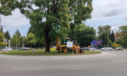Naslovna slika br 9