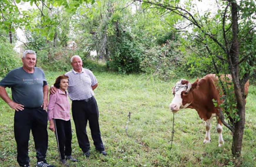 Komšije baki Ljubici poklonile kravu: “Sada ponovo imam od čega da živim”