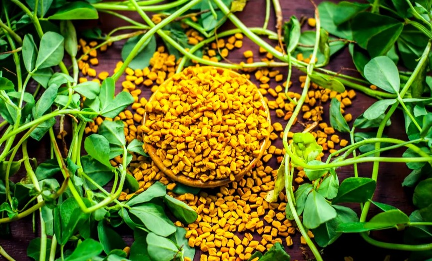 Svi smo je zaboravili: Ova moćna biljka je prava riznica zdravlja