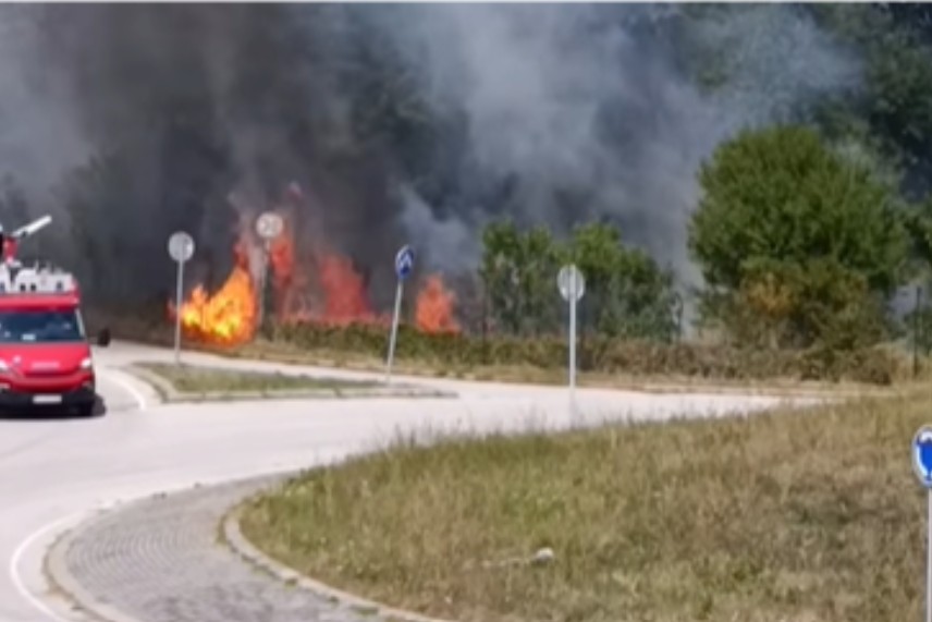Paljenje niskog rastinja izazvalo požar: Gori hala poznate kompanije u Srbiji VIDEO
