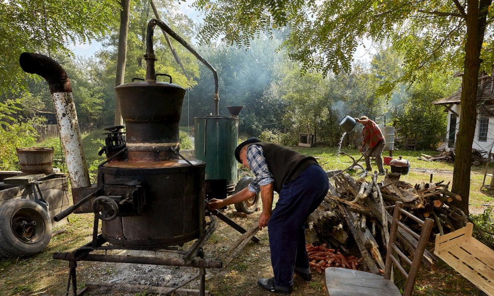 Velika potražnja za šljivama: “Vesele mašine” neće raditi u mnogim selima
