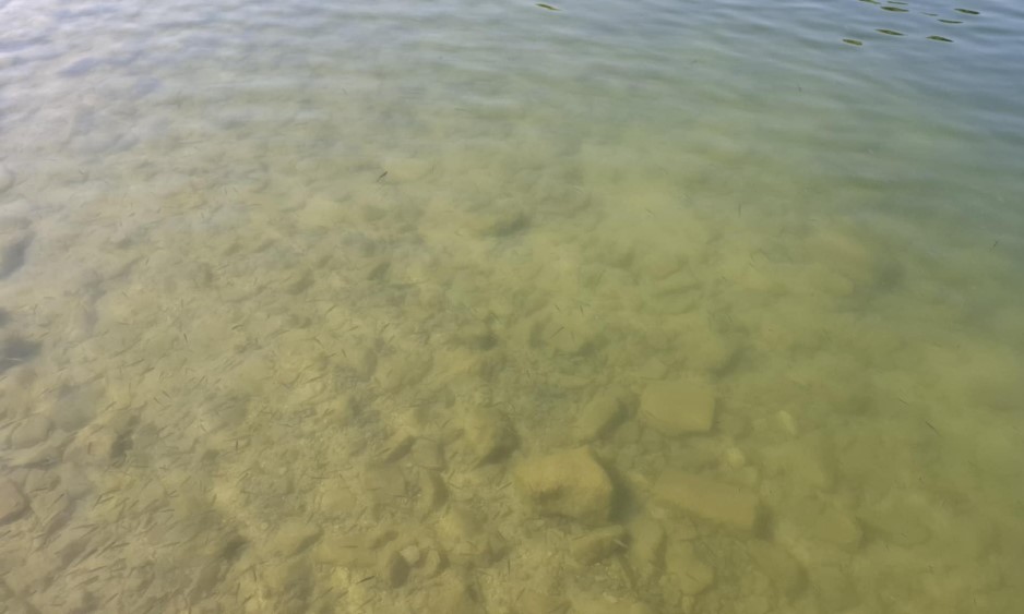 U Novom Gradu reagovali: Poslata protestna nota nadležnima u FBiH zbog zagađene Une