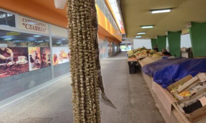 Traži se više nego ikad: Za ovo povrće na banjalučkoj Tržnici cijena nije problem FOTO