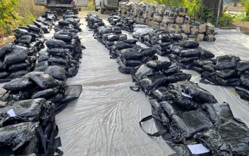 Dačić o akciji u Beogradu: Policija zaplijenila oko dvije tone marihuane, uhapšeni osumnjičeni