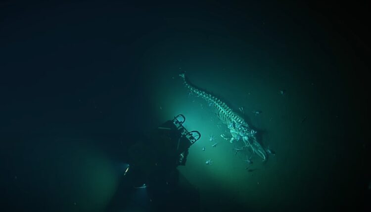 Naučnici snimili zastrašujući prizor na dubini od 3.200 metara: “Pad kita na morsko dno” VIDEO
