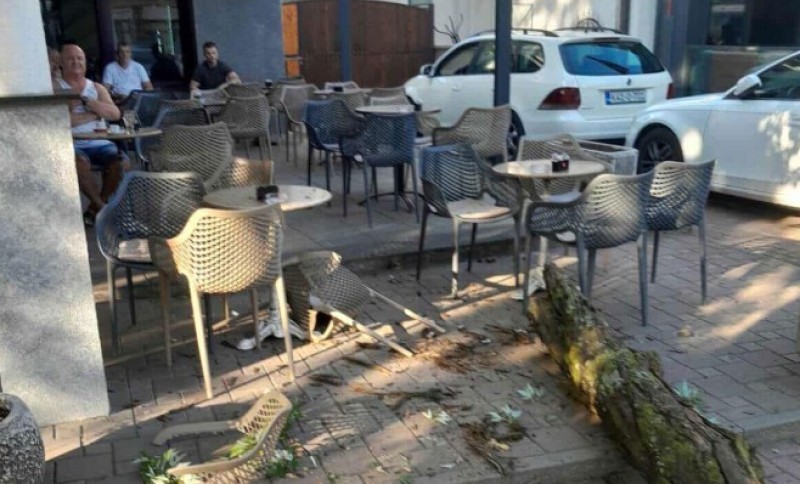 Samo pukom srećom niko nije povrijeđen: Grana se odlomila i pala u baštu kafića