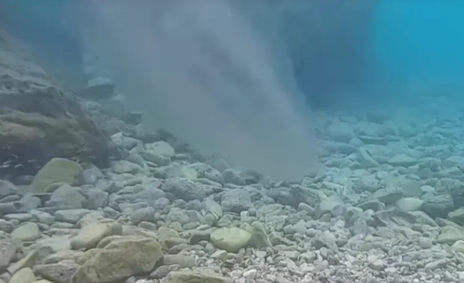 “Ljigavci“ okupirali pojedine plaže na Jadranu: Oglasili se i naučnici