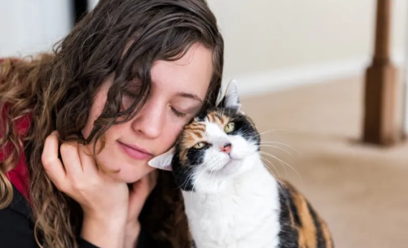 Naučnici otkrili: Mačke i ljudi imaju slične genetske mutacije kod karcinoma