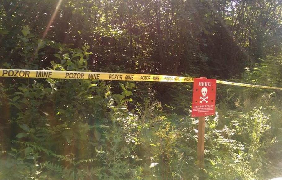 Tragedija kod Doboja: Mladić (19) stradao od mine dok je čuvao koze!