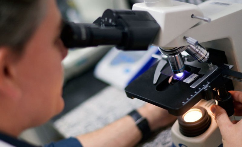 Naslovna slika br 51