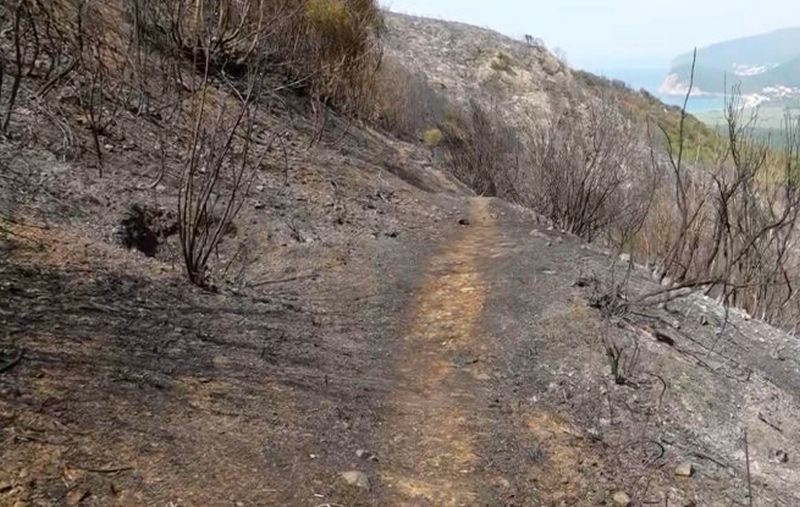 Spas sa neba: Ugašeni požari na području Podgorice