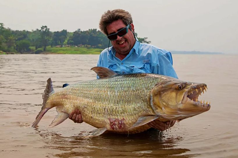 Ribar ostao zapanjen onim što je izvukao iz rijeke: Ovaj monstrum napada i krokodile, pogledajte čeljusti! VIDEO
