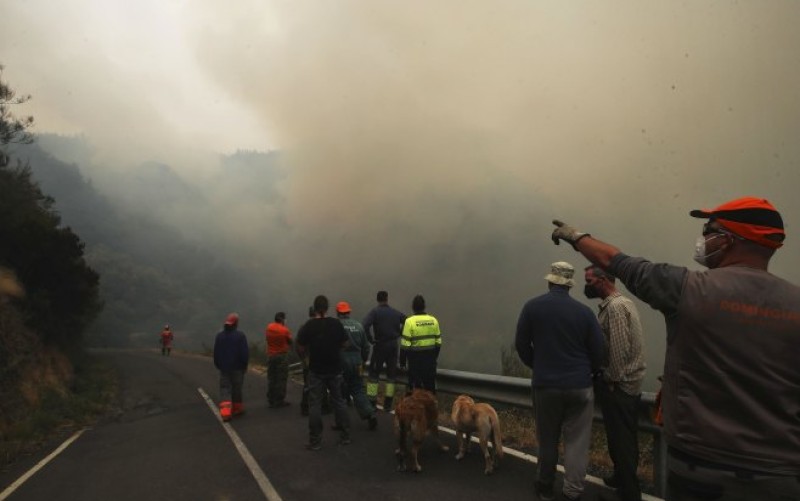 Kritična situacija: Šumski požari u Španiji, evakuisano više od 30.000 ljudi VIDEO
