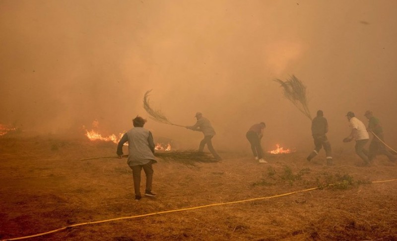 Šumski požari haraju: Od početka godine u EU spaljeno više od milion hektara zemlje