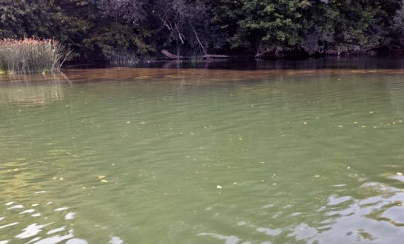 Šta je zapravo razlog zamućenja rijeke: Uzorci uzeti iz Une hemijski su ispravni