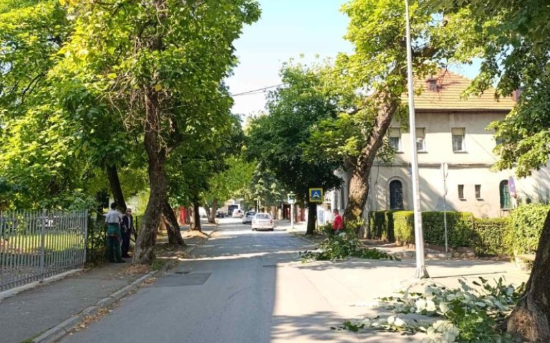 Pripreme za početak nove školske godine: Akcija uređenja prostora oko škola u Banjaluci