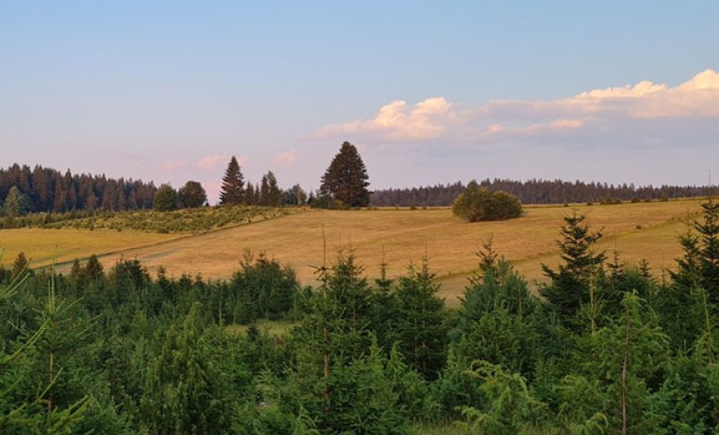 Prognoza za utorak: Nakon hladnog jutra očekuje se sunčano i prijatno toplo vrijeme
