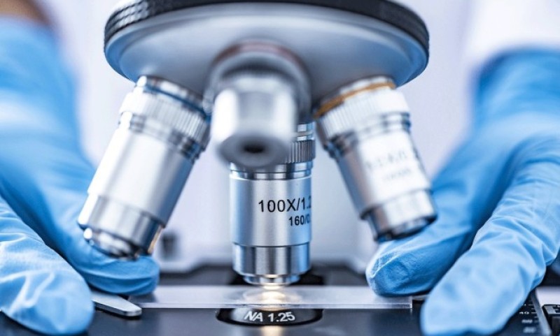 Čovjeka na kampovanja ugrizla buva, zaražen je kugom: Ovo su simptomi koji se javljaju