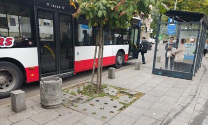 Naslovna slika br 13