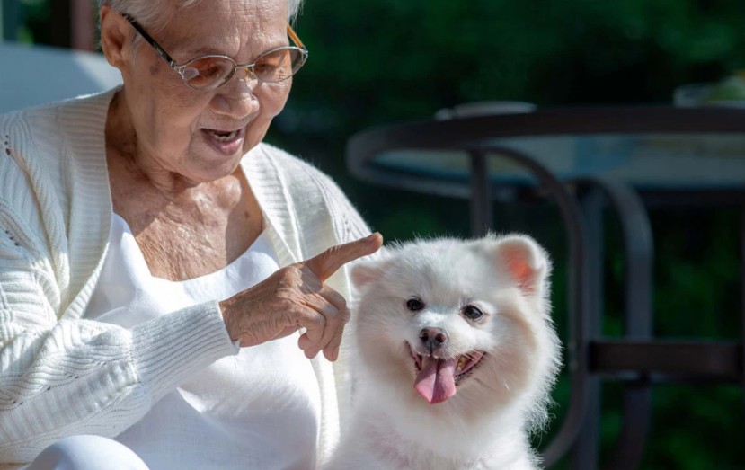 Djecu i unuke izbacila iz testamenta: Baka nasljedstvo ostavila psu
